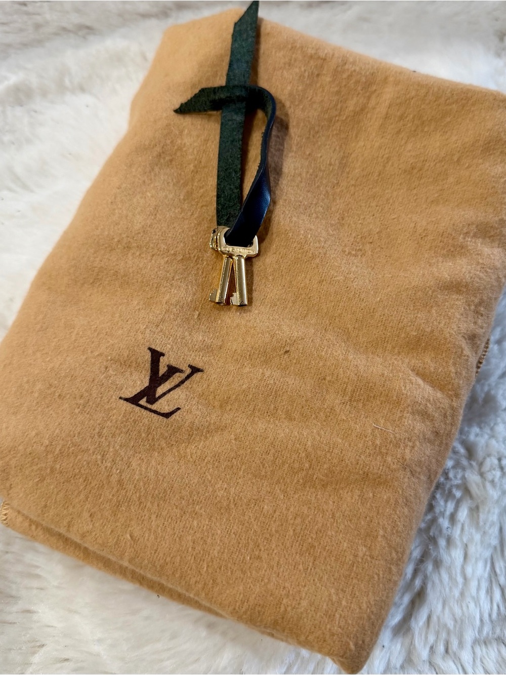 Louis Vuitton Black Epi Leather Top-Handle Clutch with Gold Hardware - Picture 8 of 14